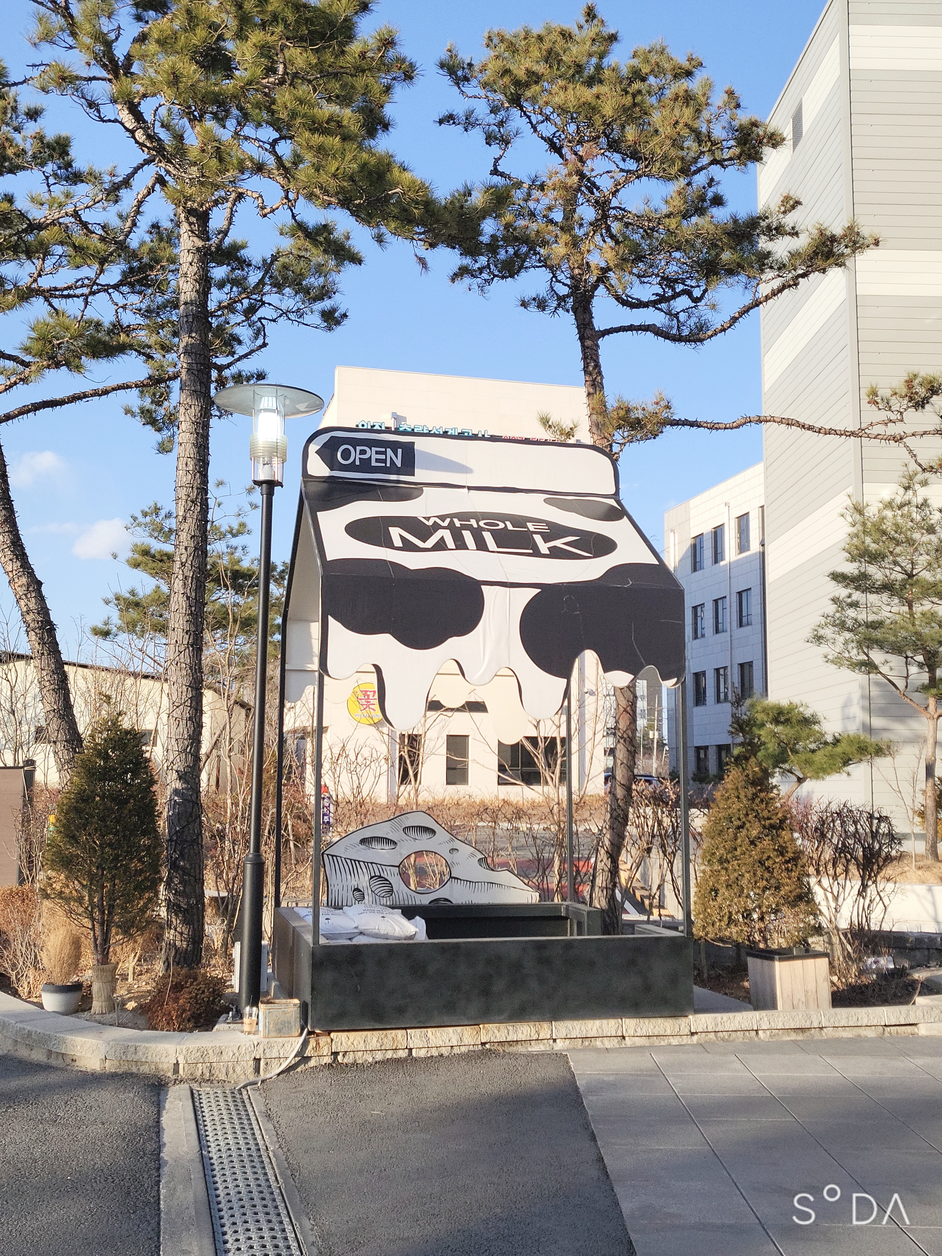 이천 설봉저수지 아르보르 카페