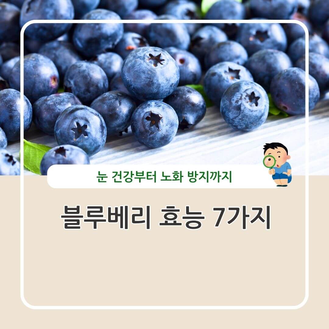 블루베리 효능 7가지_눈 건강, 노화, 피부 노화 방지