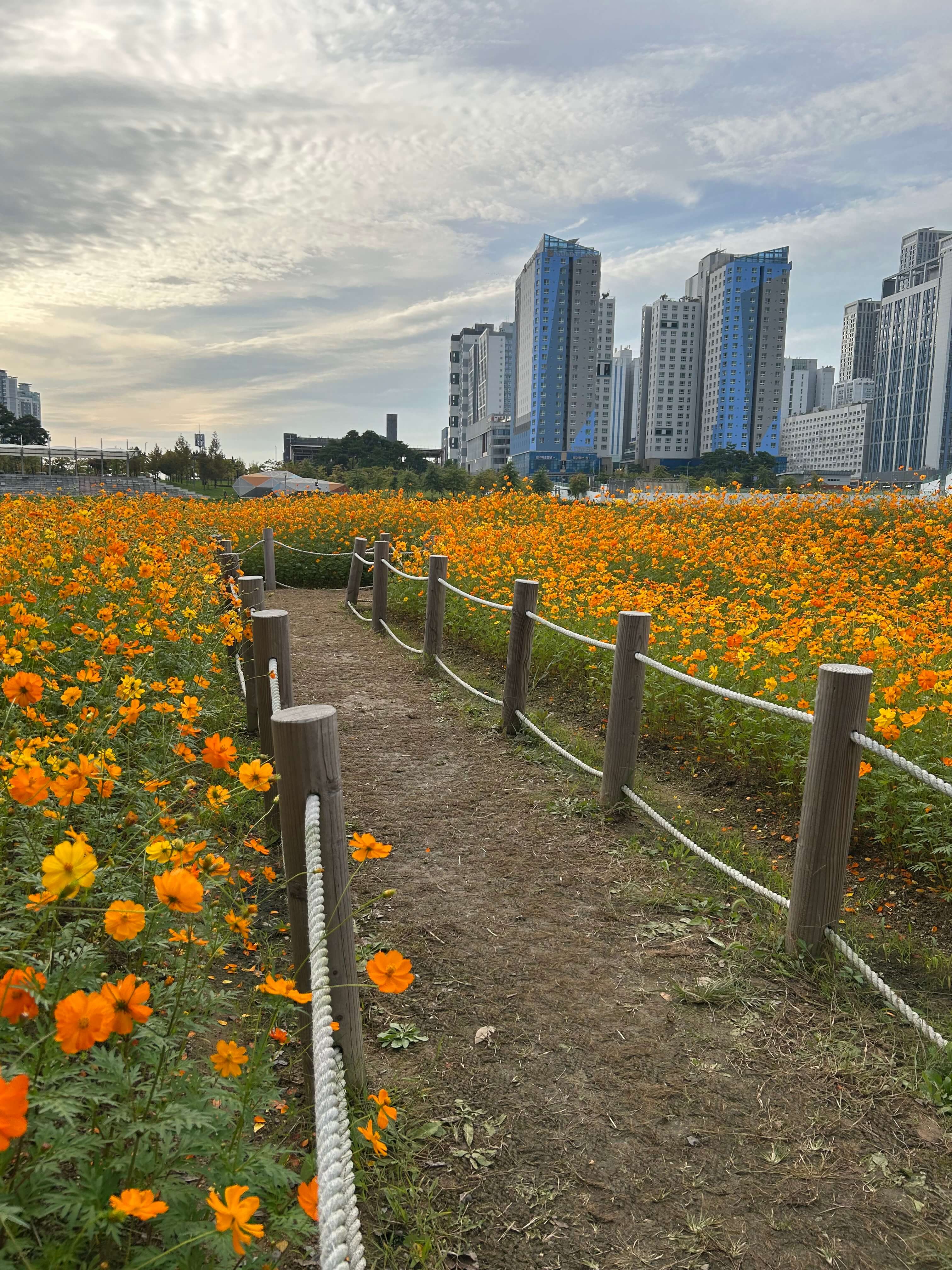 전국 공항 주차요금 비교표