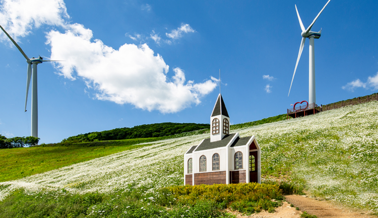 청옥산 육백마지기