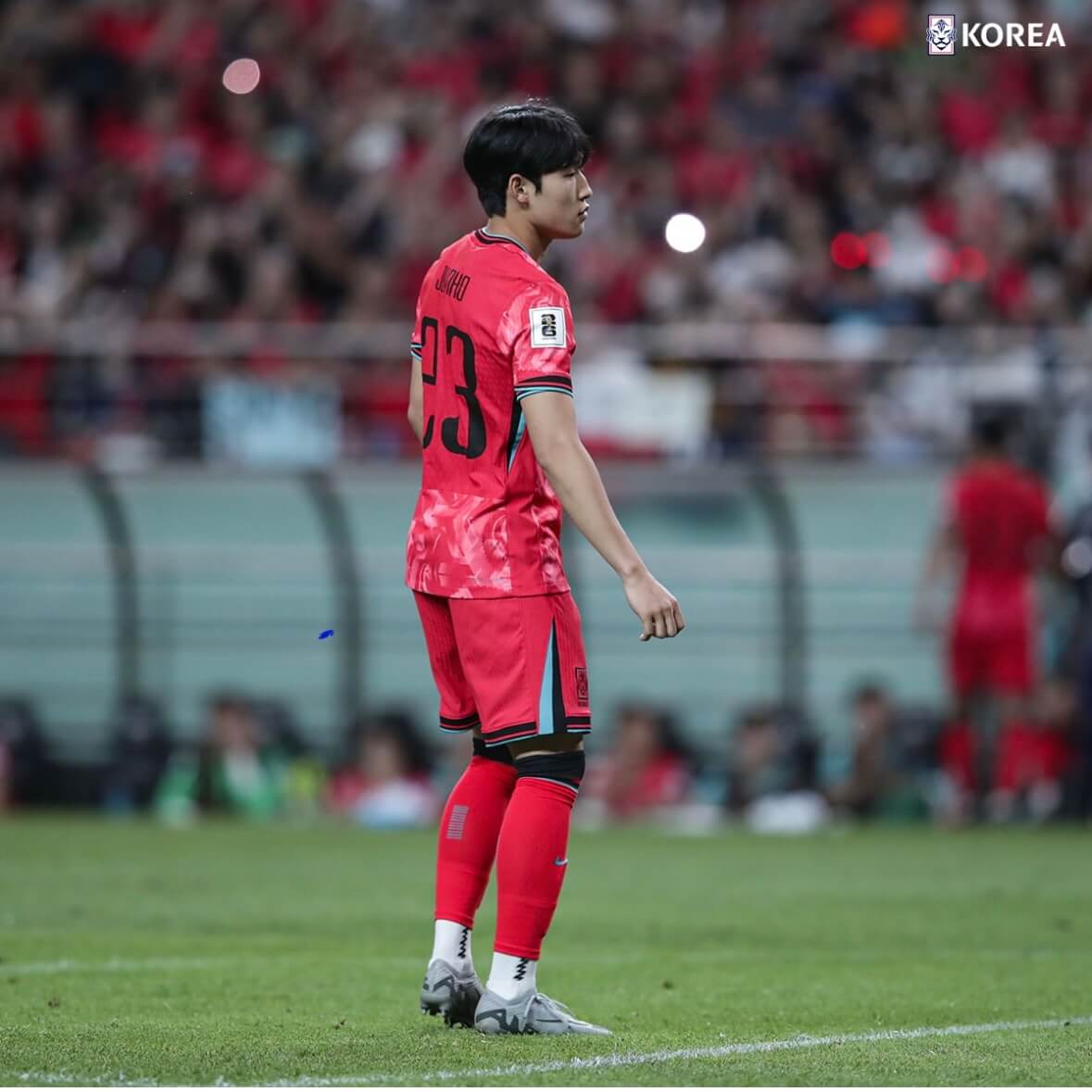 한국 팔레스타인 중계