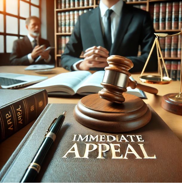 즉시항고 관련사진