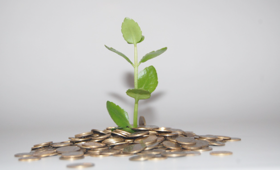 생활 속 식재료로 활용하는 '제로 웨이스트' 살림법!