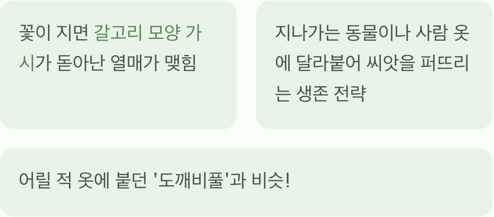 꽃이 지고 난 뒤, 반전 매력의 씨앗