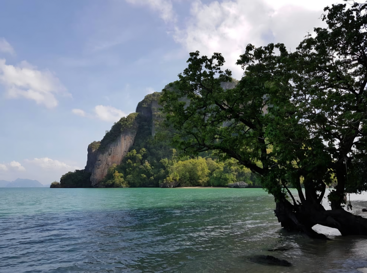 여유로웠던 프라이빗 홍섬 투어