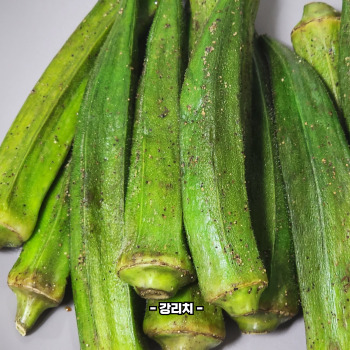 오크라 효능