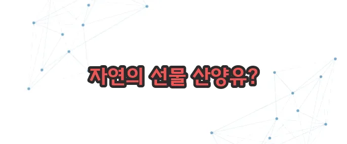 산양유 단백질 효능 이보다 자세히 설명할순없다