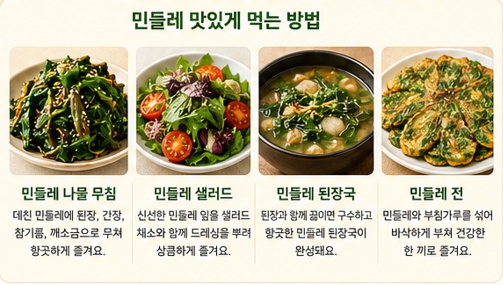 민들레장조림이미지