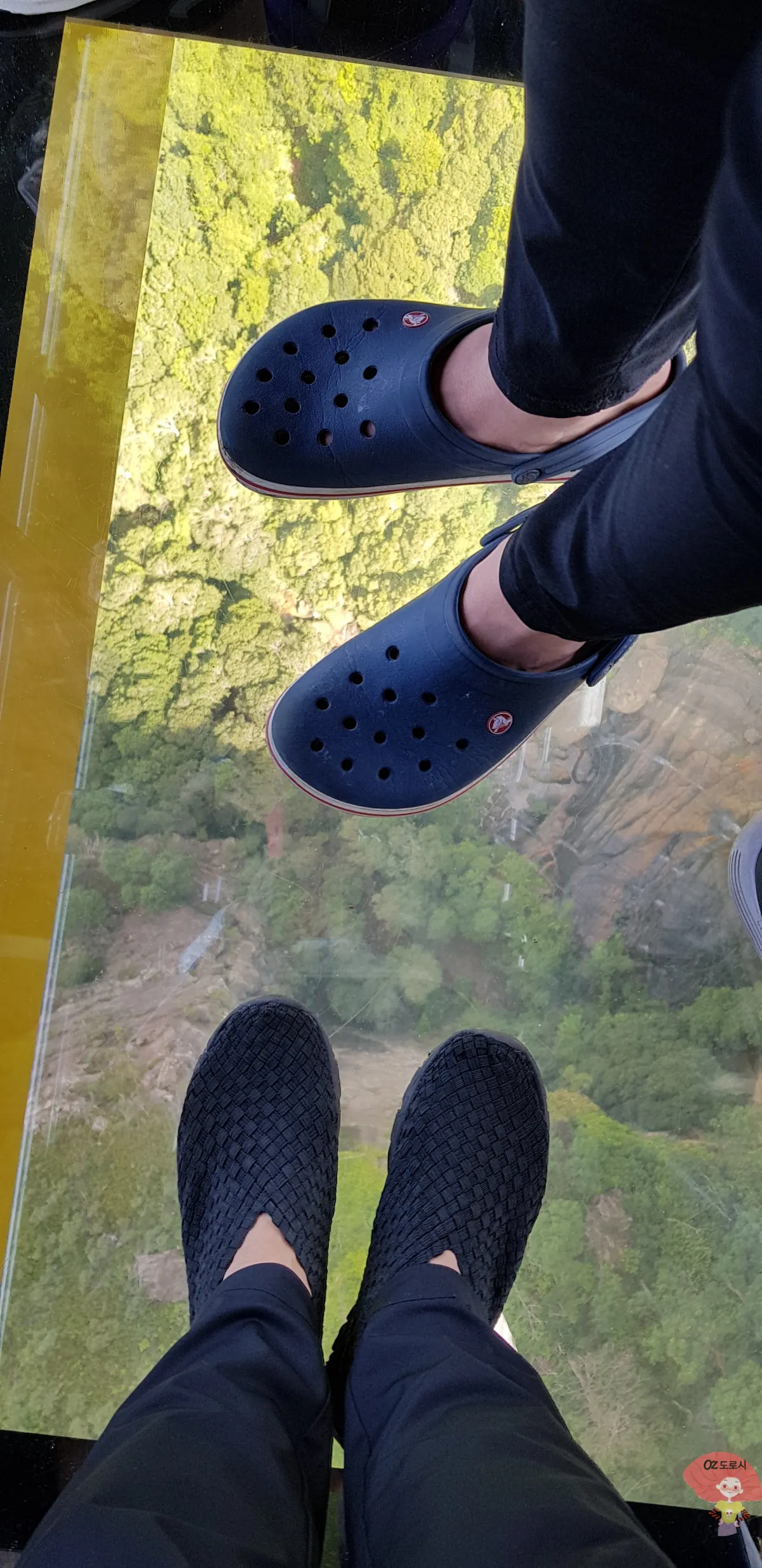 호주-시드니-근교여행-블루마운틴-국립공원-스카이웨이-타고-건너편-봉우리로-이동-발아래-유리바닥으로-보이는-풍경