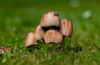 토지이용계획 확인원 신청 꿀팁 8