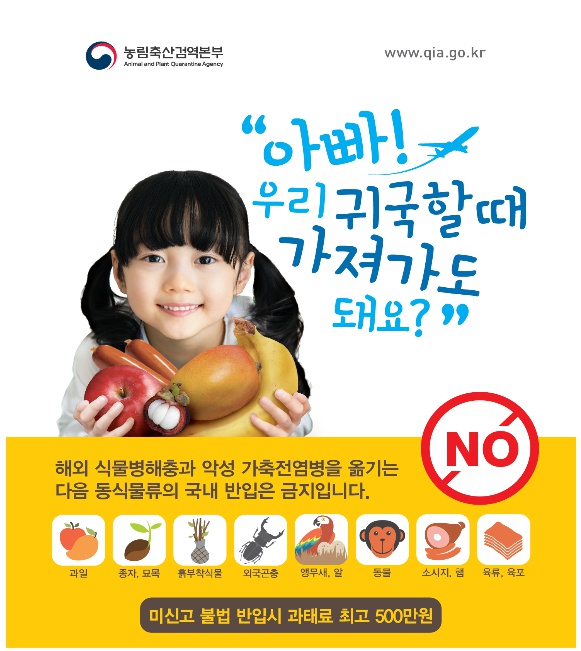 한약재(당귀·황기·계피) 개인 휴대 반입 가능? 식물검역·한도 완벽정리