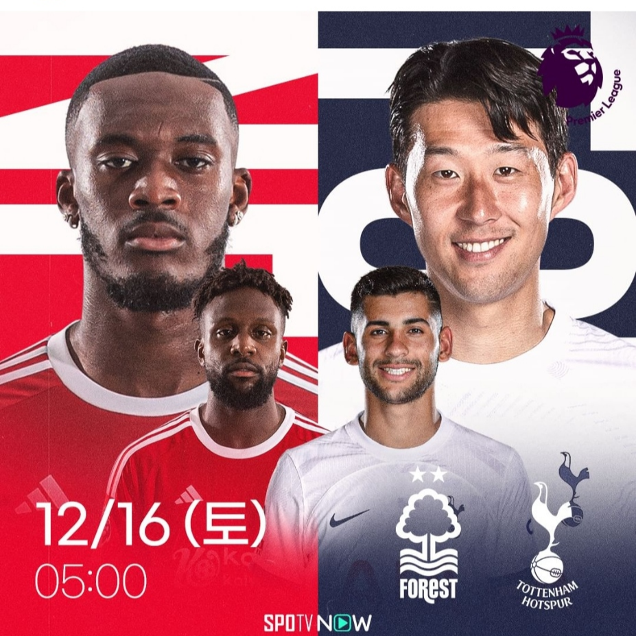 손흥민 경기
