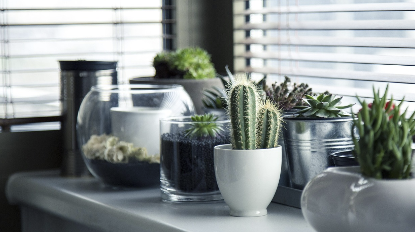 집안 공기 질 개선법 – 환기 타이밍, 미세먼지·곰팡이 예방, 식물로 공기 정화