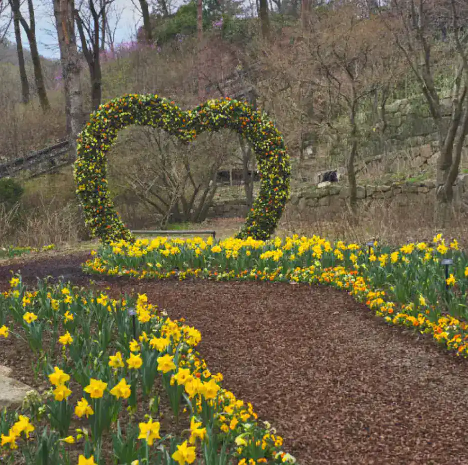 화담숲 모노레일 예약