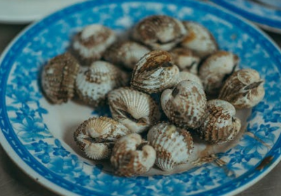 꼬막 해감쉽게하는법