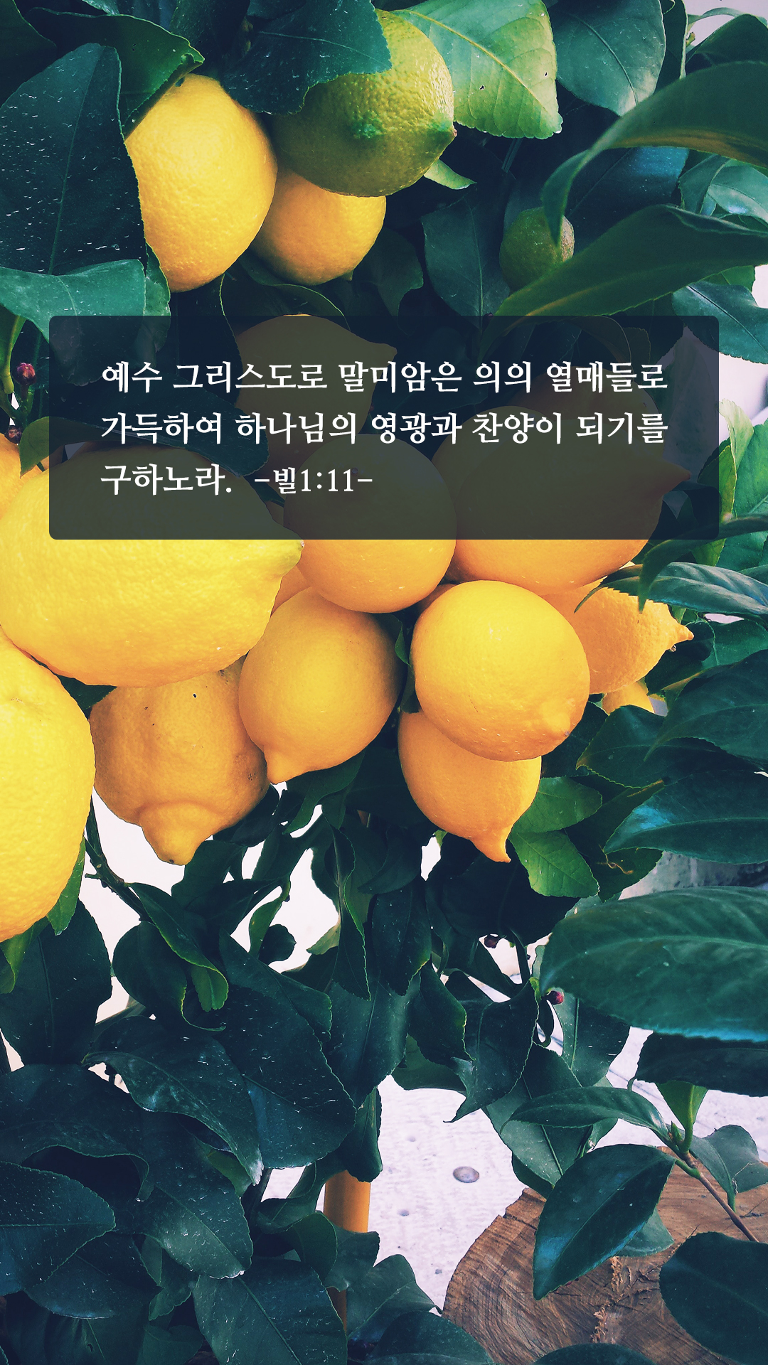 성경 좋은 구절