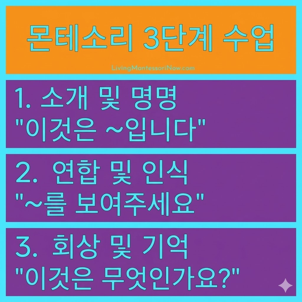 몬테소리 교수법