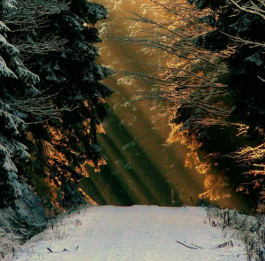 뱀이 나오는 꿈 의미 및 해몽(색깔, 상황별 해석, 길몽 여부)