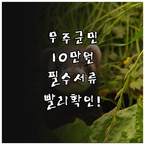 전북 무주군민 전체 1인당 10만원 ..