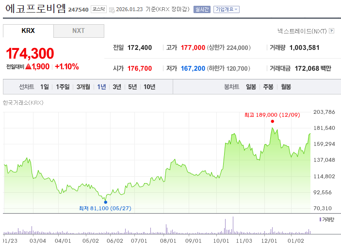 에코프로비엠 주가 차트