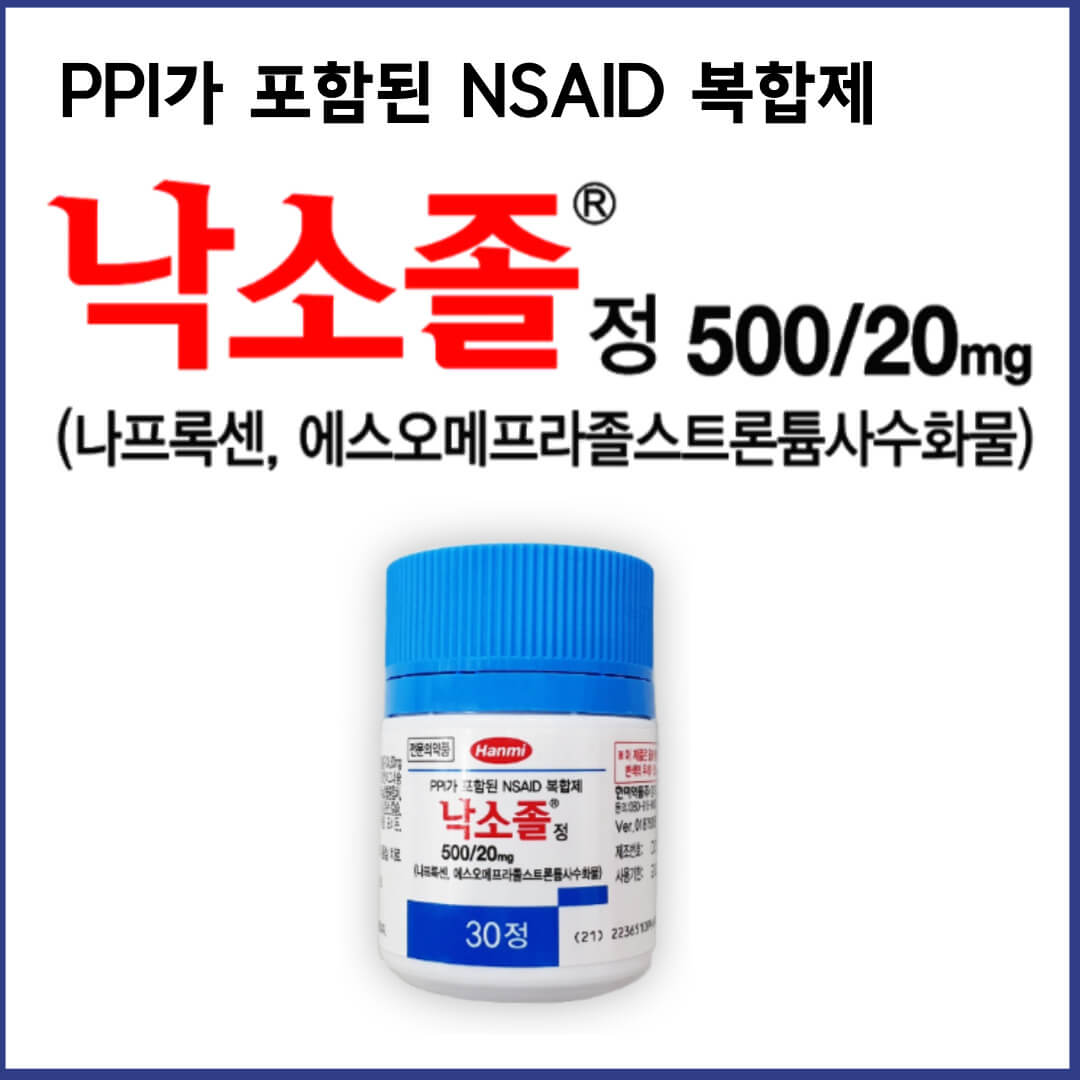 낙소졸정500/20mg