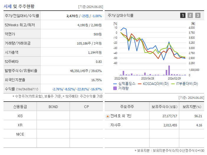심텍홀딩스_기업개요