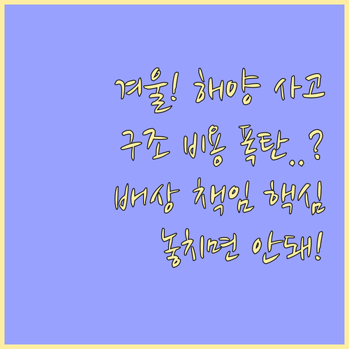겨울 해양 사고 대비 수난 구조 비용..