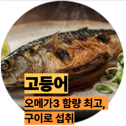 오메가3 많은 고등어