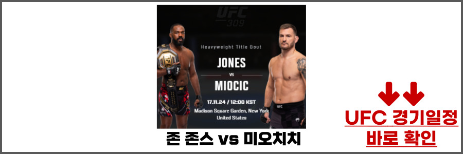 UFC 309