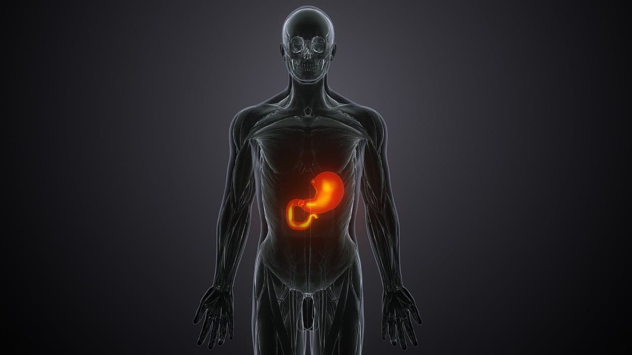 간염 바이러스: 종류, 감염 경로, 그리고 예방 방법