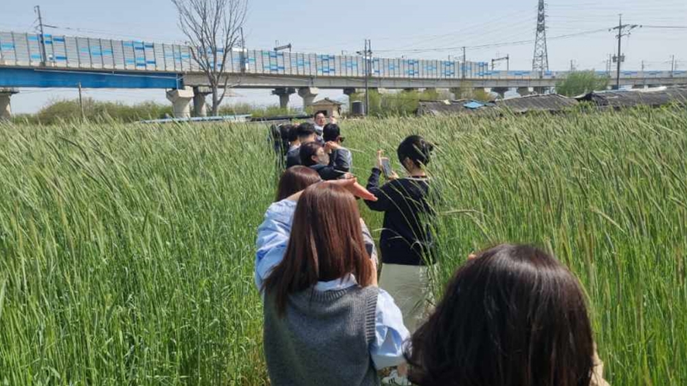 메밀을 활용한 동·식물 치유농업 프로그램