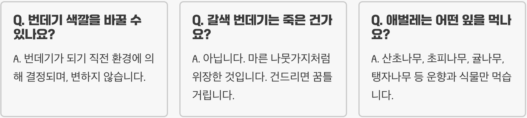 호랑나비 번데기 색깔이 녹색, 갈색으로 다른 이유, 보호색의 비밀
