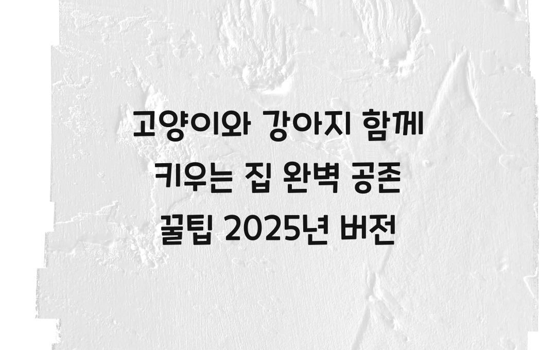 고양이와 강아지 함께 키우는 집, 완벽한 공존을 위한 필수 팁