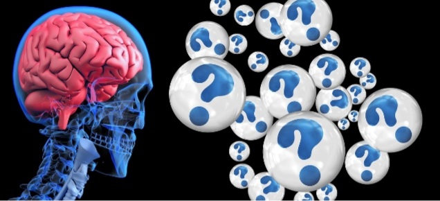 포스파티틸세린 두뇌 영양제