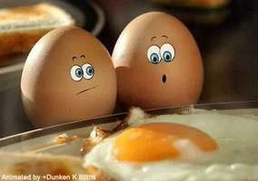 egg