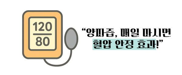 양파즙 효능 고혈압