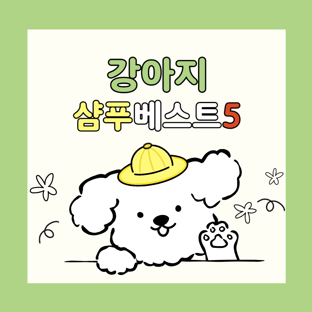 강아지 샴푸 베스트 5