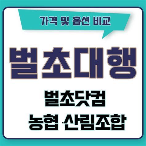 벌초 비용