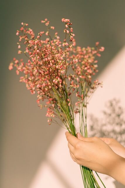 소상공인 전기요금 특별지원