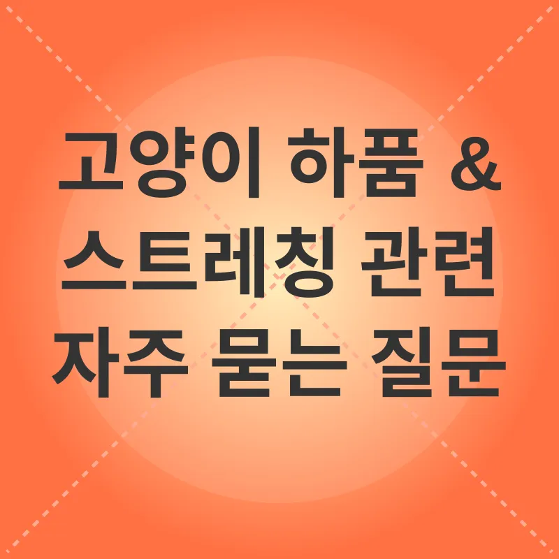 고양이 행동 이해_4