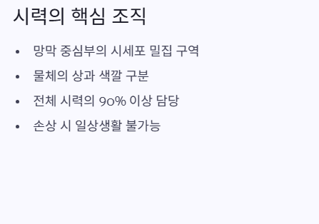 핵심조직