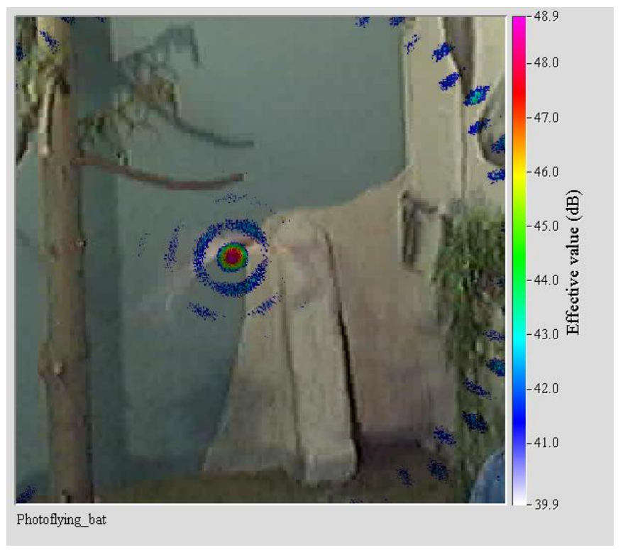박쥐 초음파 고주파 신호 음향카메라로 분석, 팜테크, Ultra sound Acoustic Camera