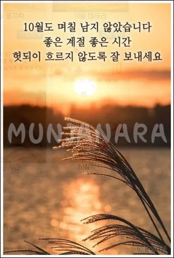 10월 인사말 예시 모음 영어_16