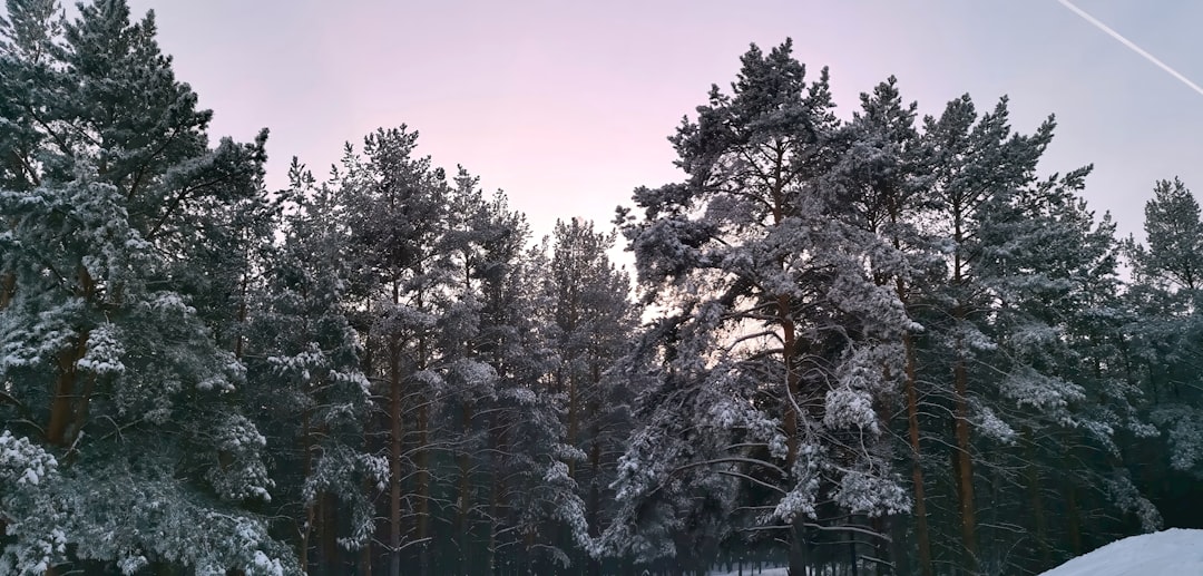 Coldness