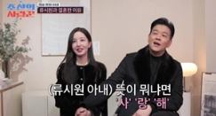 류시원 전 와이프 조수인 (+ 제혼 19살 연하 이아영 나이 프로필 재산 인스타 수학강사 아파트)