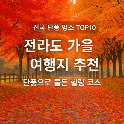 전라도 가을 여행지 추천 : 단풍으로 물든 힐링 코스 10선 (2025 최신판)