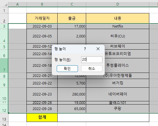 엑셀 행높이 같게 만들기 서식 복사
