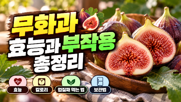 무화과 효능과 부작용 총정리｜칼로리부터 껍질째 먹는 법&middot;보관법까지(+제철,칼로리)
