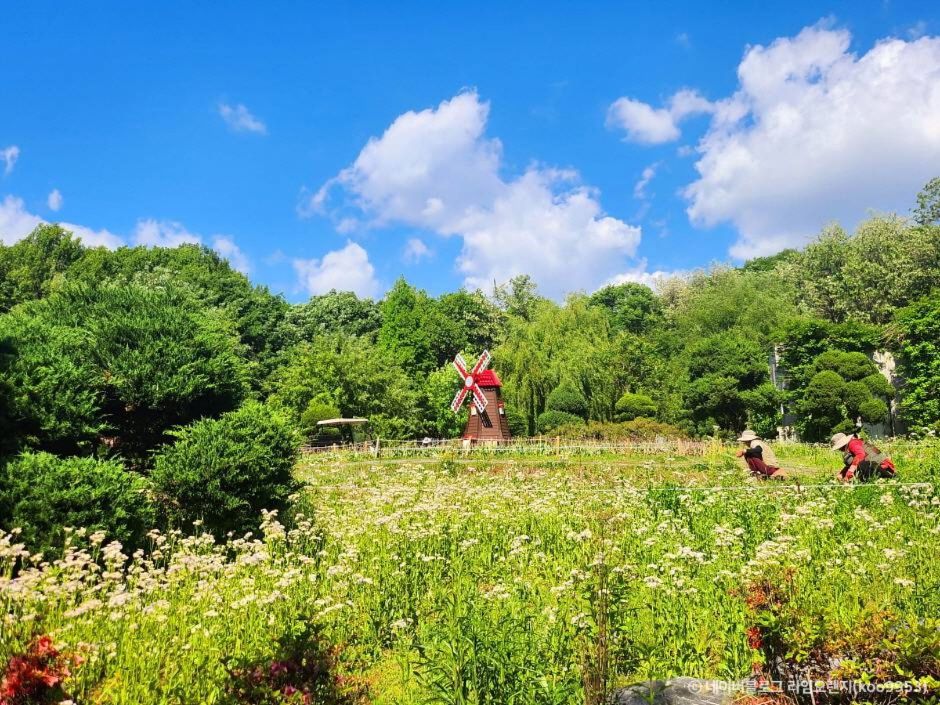 부천 무릉도원수목원