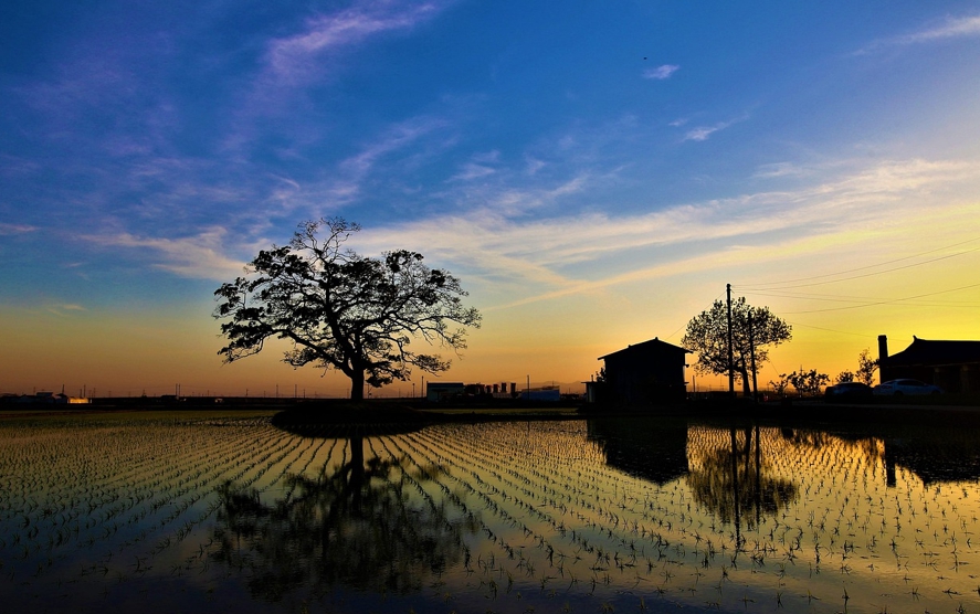 힐링: 지친 마음을 돌보는 시간의 필요성